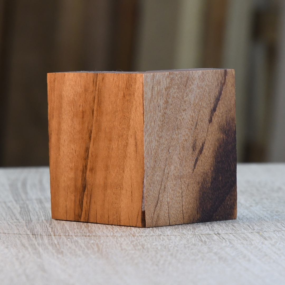 Tiger Wood ( Goncalo Alves)