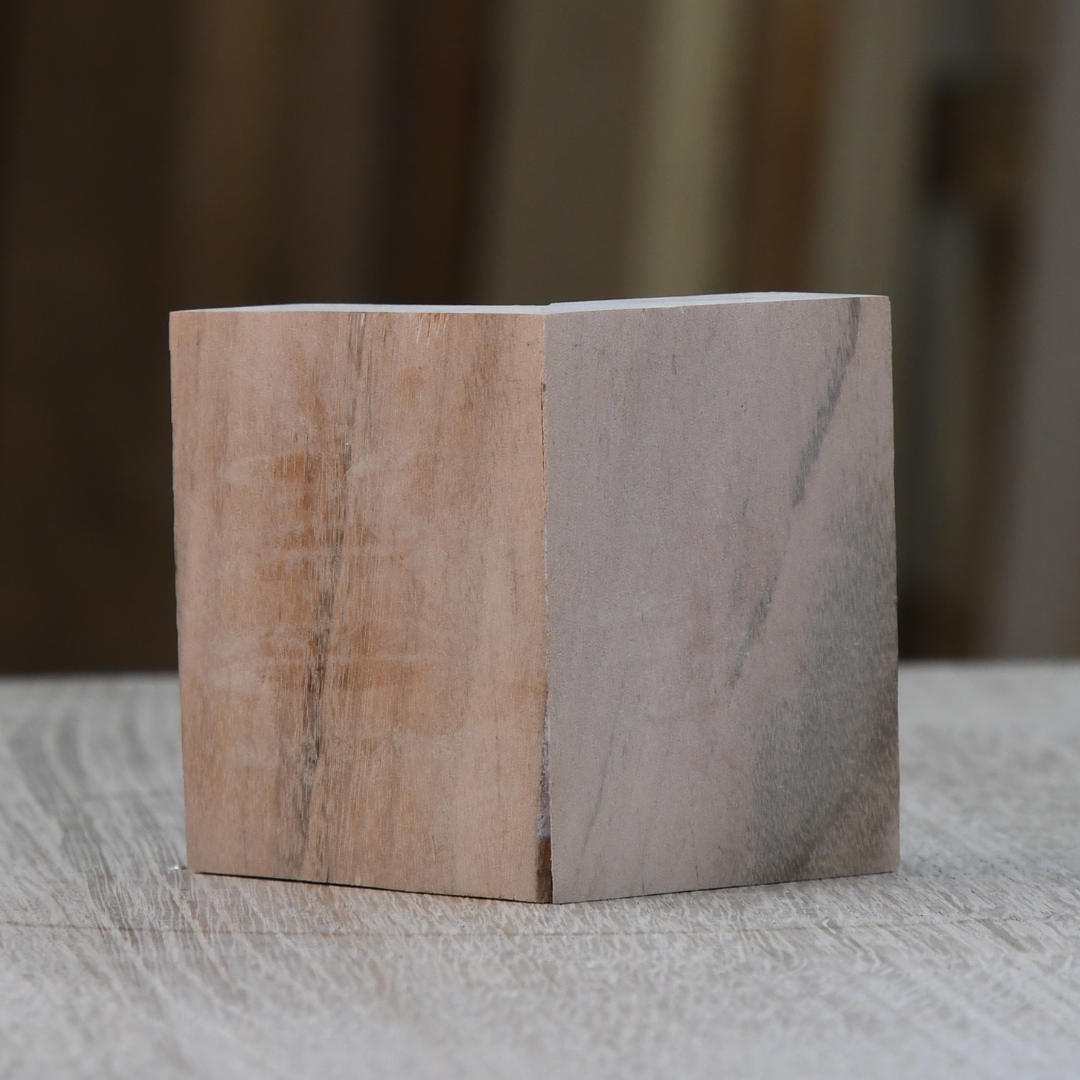 Tiger Wood ( Goncalo Alves)