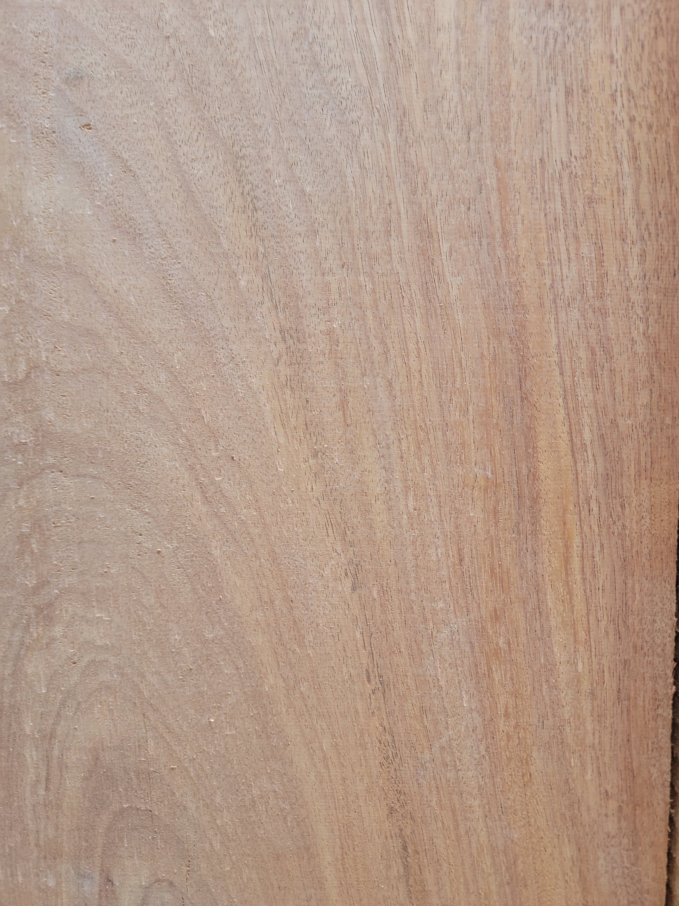 Red Canary Wood 4/4